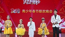 青少年春节联欢晚会20180217期