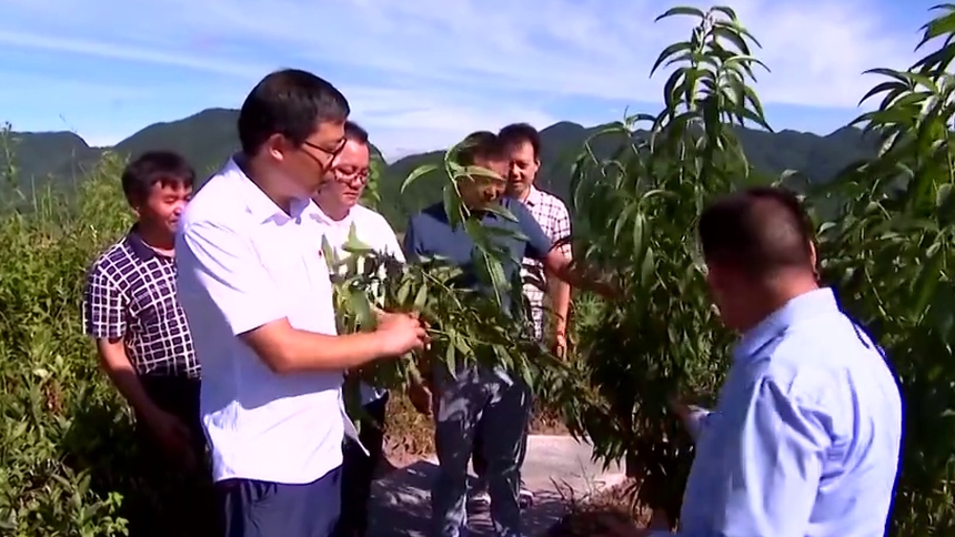 湖南高质量打赢脱贫攻坚战 奋力书写精准扶贫时代答卷