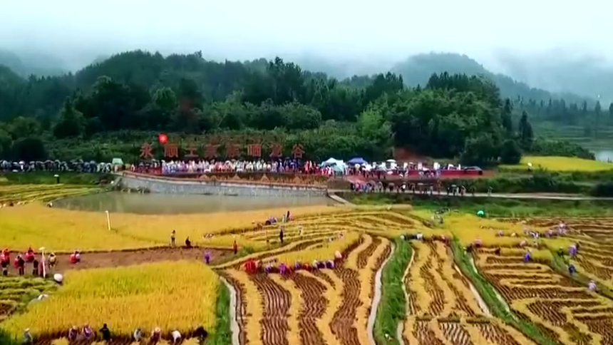湖南日报发表文章一—《湖南高质量打赢脱贫攻坚战》 打出政策“组合拳” 攻克贫困坚中之坚