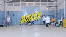 八人版的boxer果然来了！