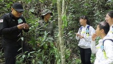 西双版纳国家级自然保护区有哪些神奇植物？