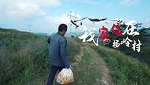 我家住在杨岭村