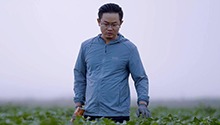 玩转“种田游戏”的新青年