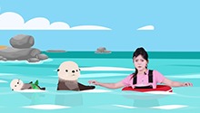 “解救”被海带缠住的海獭宝宝