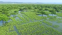 跟着总书记的考察足迹｜瞰广西