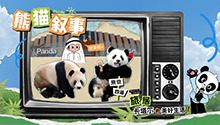 “京京”“四海”旅居卡塔尔的美好生活