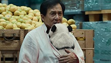 熊猫计划