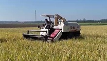 新思想引领新征程 湖南持续巩固拓展脱贫攻坚成果 加速推动乡村全面振兴
