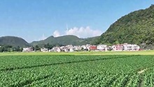 长沙连续10天发布高温预警信号